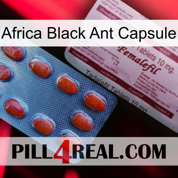 Africa Black Ant Capsule 36.jpg